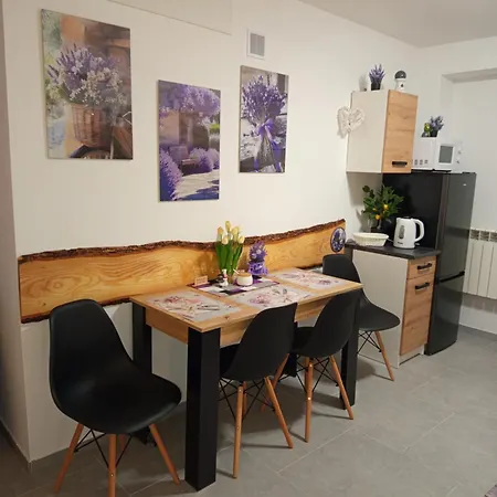 Mieszkanie Do Wynajecia W Centrum * 奥乐科欧