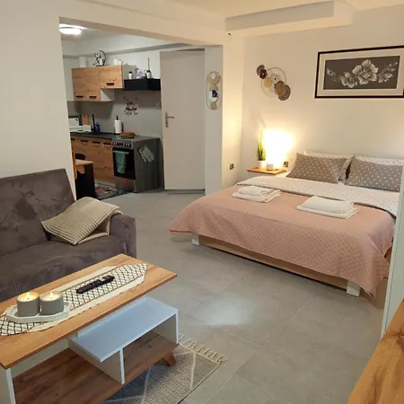 度假居 Mieszkanie Do Wynajecia W Centrum