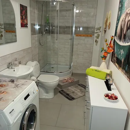 Mieszkanie Do Wynajecia W Centrum *