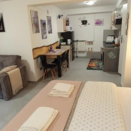 Mieszkanie Do Wynajecia W Centrum