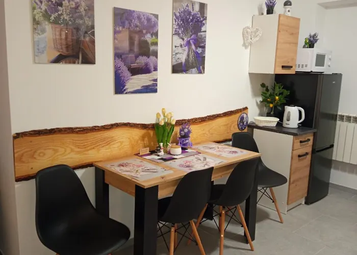 Mieszkanie Do Wynajecia W Centrum * 奥乐科欧