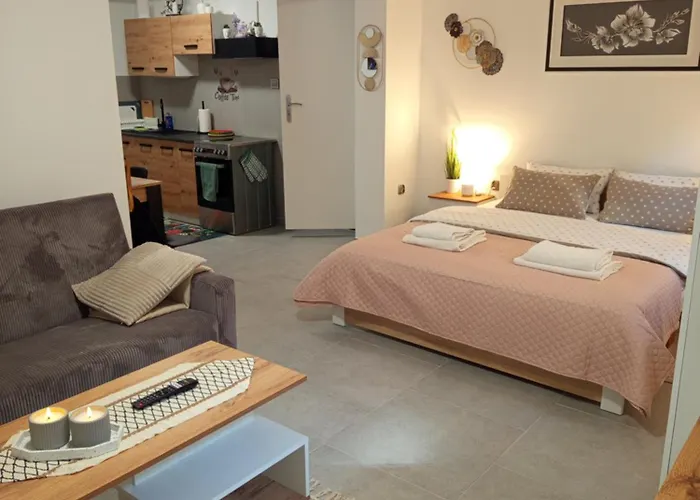 度假居 Mieszkanie Do Wynajecia W Centrum