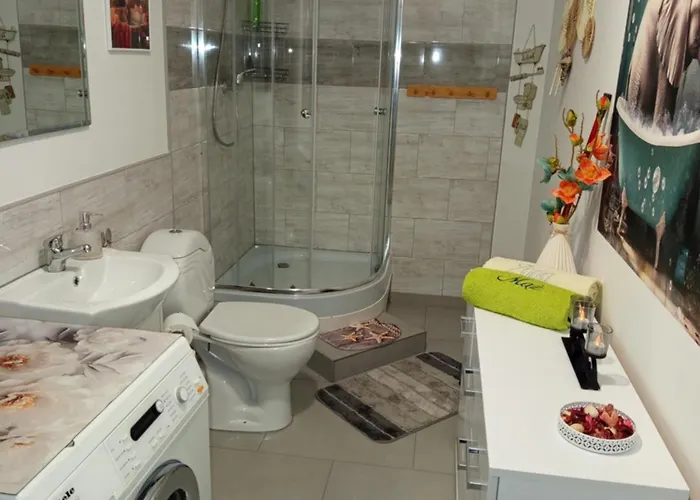 Mieszkanie Do Wynajecia W Centrum *