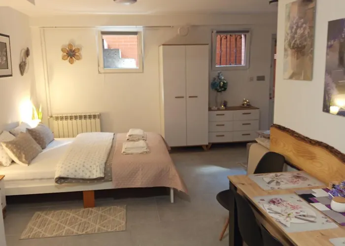 度假居 Mieszkanie Do Wynajecia W Centrum 奥乐科欧